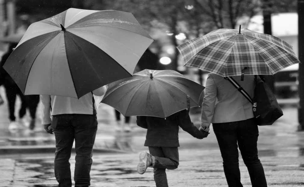 family umbrella header 2